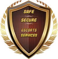 Safe & Secure Icon